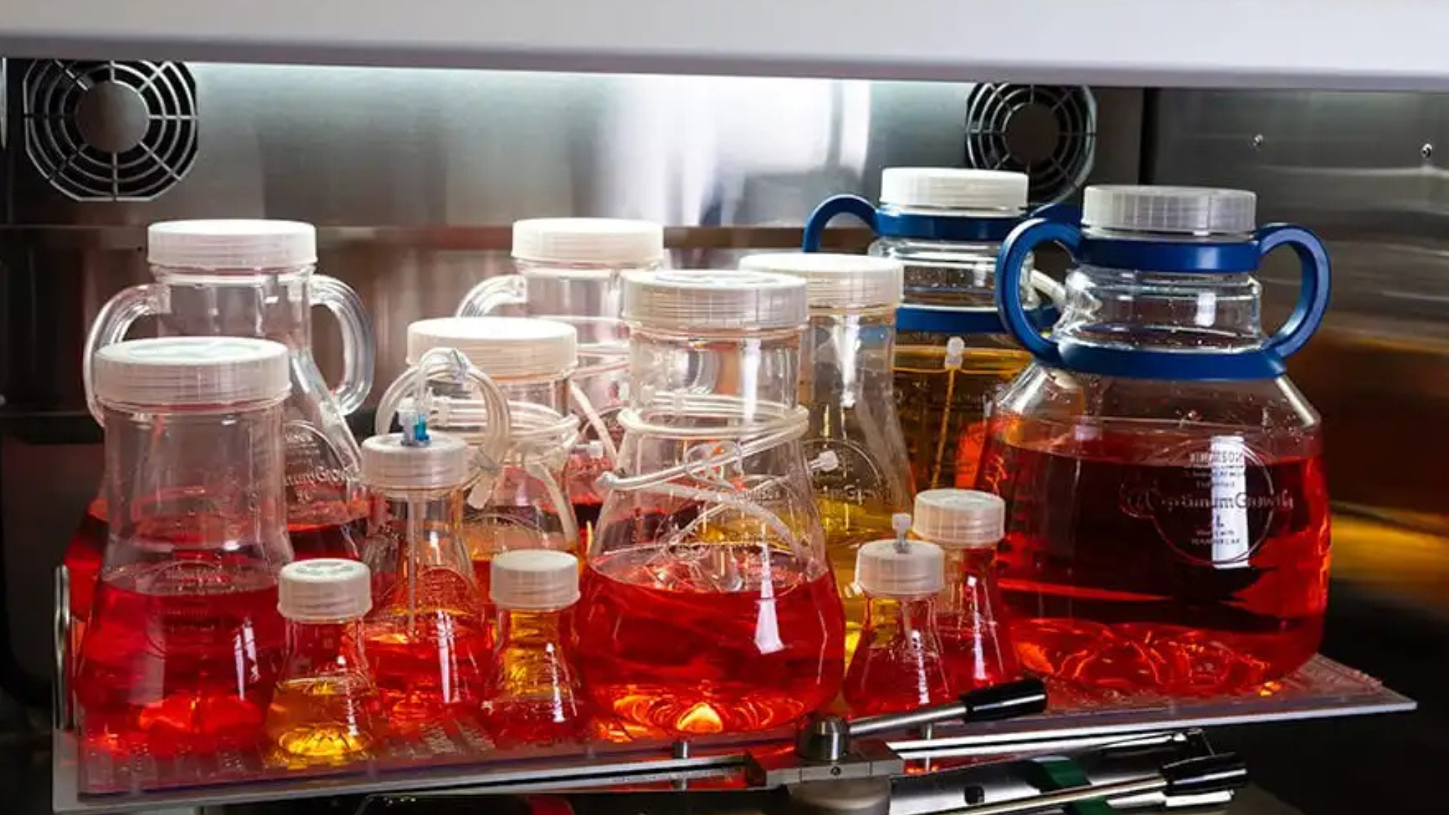 Maximising Cell Culture Efficiency with Optimum Growth® Flasks