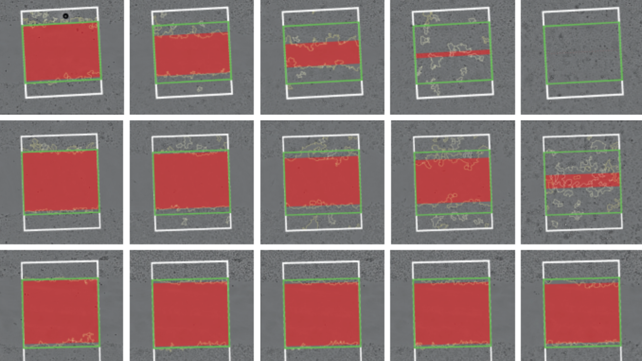 High-Throughput Wound Healing Assays: A Label-Free Approach to Cell Migration Analysis